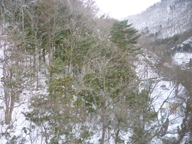 P1000025