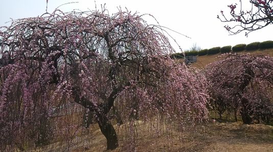 香川県高松市香南町