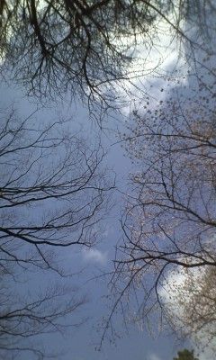 170406_1050~01