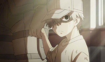 a027950cgy1fu5oxiips1j21kw0xvk3c