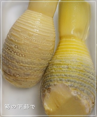 下茹で9