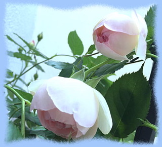 22mai16b