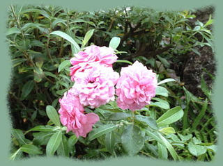 3oct12c