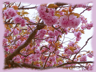 17avril18d
