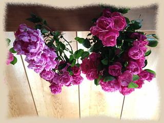 29mai14c