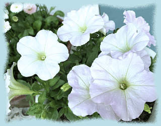 7mai17a