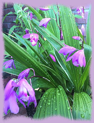 15mai16h