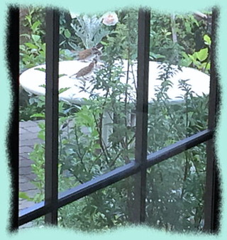 24juin16c