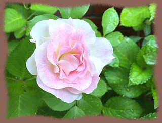 13mai15l
