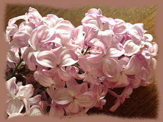 11mai13a