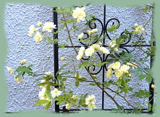 8mai14j