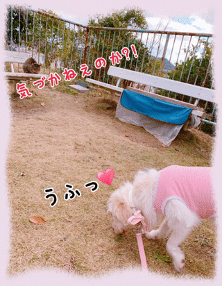 7jan19c