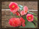 14nov08z