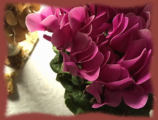 13nov14a