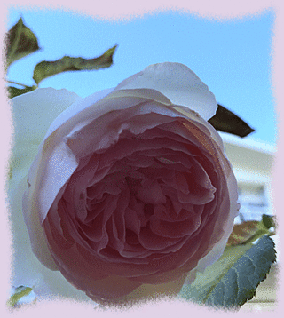 21mai17c