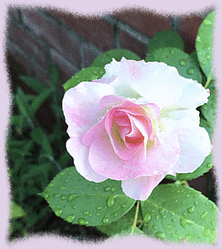 22mai17b