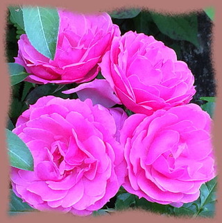 29mai15e