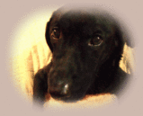 9nov08a