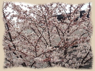 6avril14c