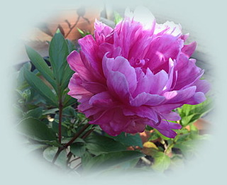 25mai14b