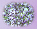 35a09c2b.gif
