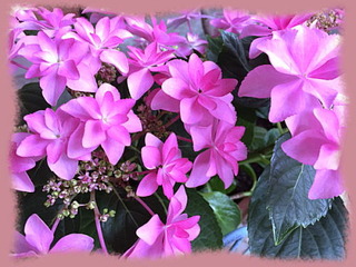 26mai15a