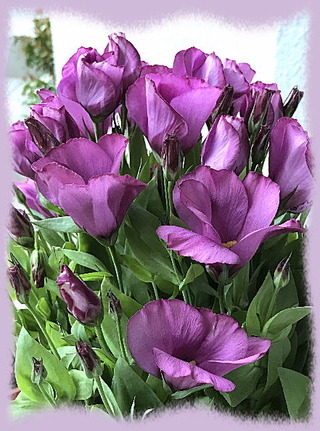 17mai17d