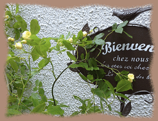 11mai12d