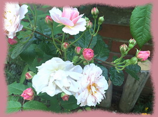 24mai15a