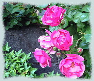 20mai14c