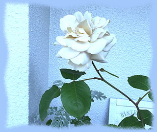 17mai16n