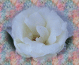 13mai08x
