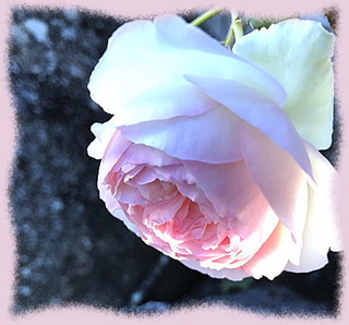 21mai17a