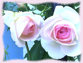 23mai16c