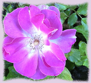 22mai17b