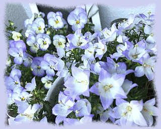 12mai17a