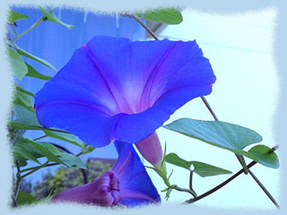 9sep14e