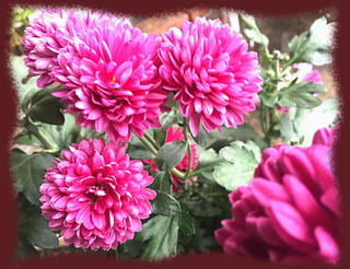 27nov14h
