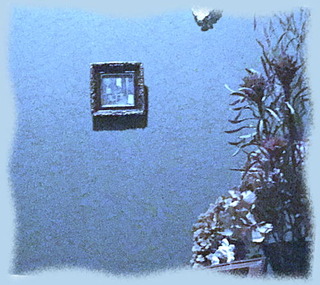 9nov14g