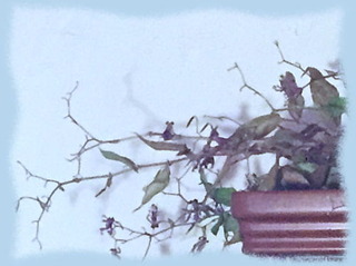 24nov14e