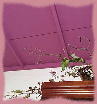 15jan15j