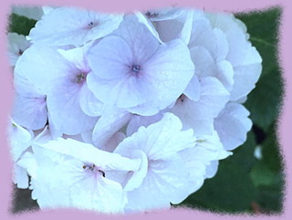 8juillet16c