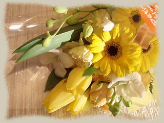 19nov12b