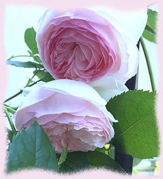 23mai16d