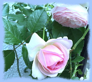 30mai16d