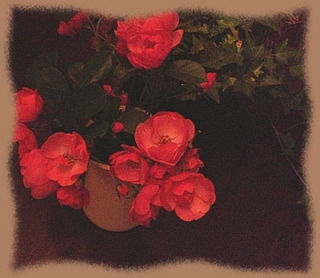 15mars15f