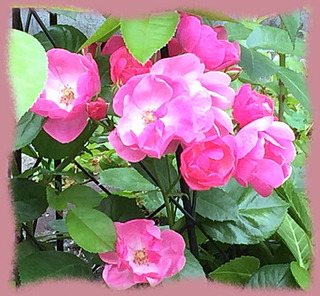 26mai15d