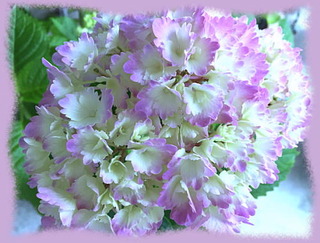 29mai16b