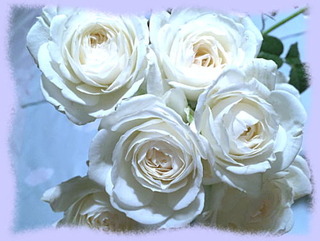 21aout15c