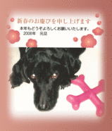 お年賀
